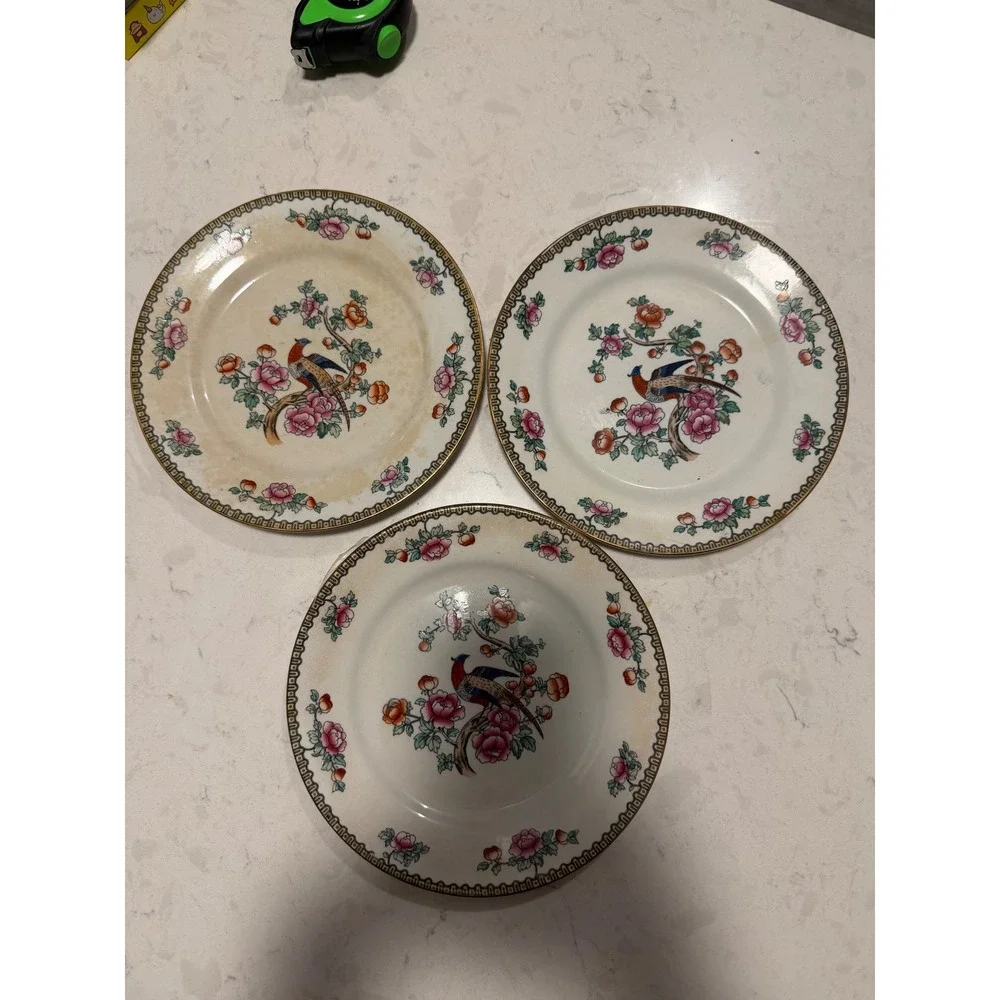 Vintage Whieldon Ware Pheasant Plates F Winkle & Co England Set of 3 Floral 8